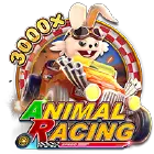 Animal Racing