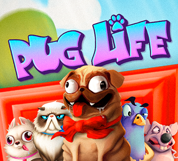 Pug Life
