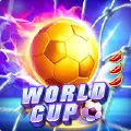 World Cup