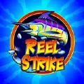 5 Reel Drive