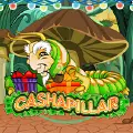 Cashapillar